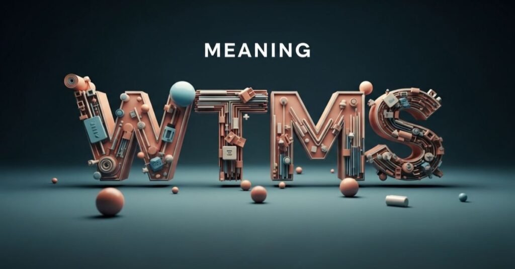 Usage Of WTMS In Various Different Contexts