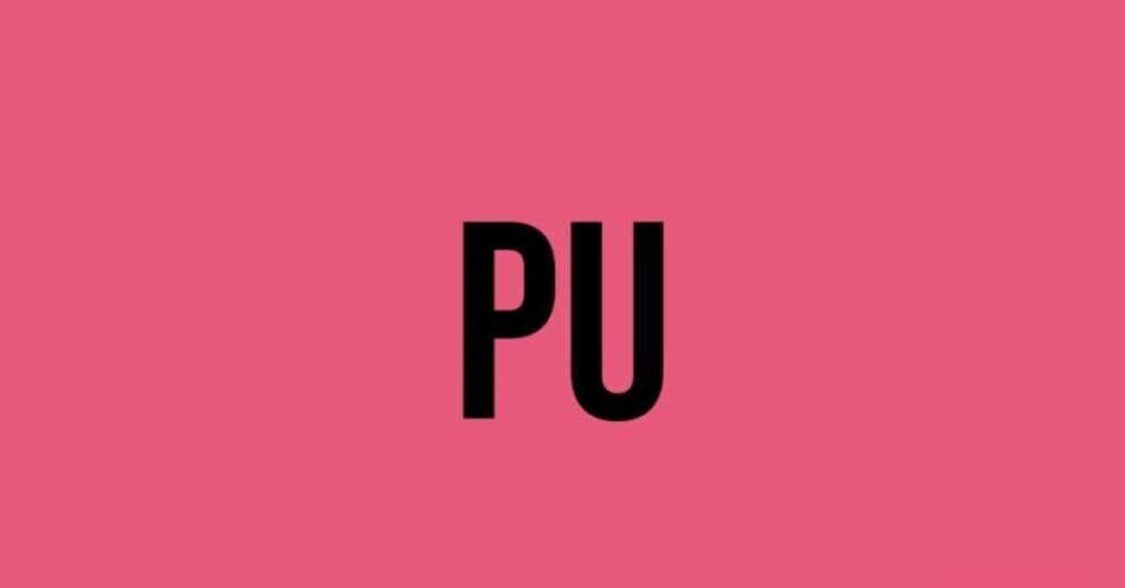 PU Meaning